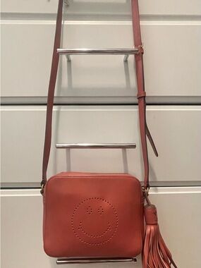 Anya Hindmarch Crossbody Bag in Raspberry Brown bag